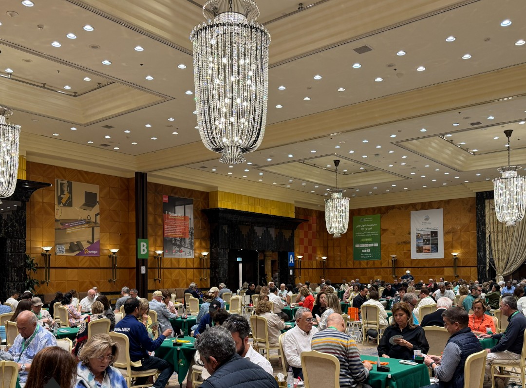 مهرجان البريدج الدولي  2025 